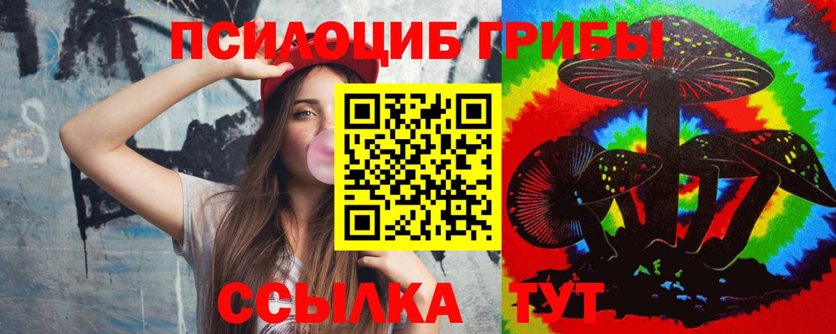 Псилоцибиновые грибы прущие грибы  Вход с VPN  Торжок 